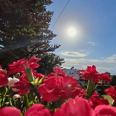 Homestay szállás Piaf *