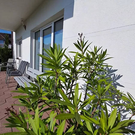Homestay szállás Piaf *
