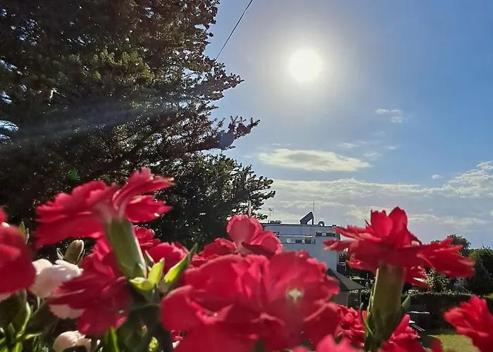 Ubytování v soukromí Piaf *